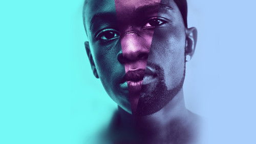 Moonlight: Sob a Luz do Luar