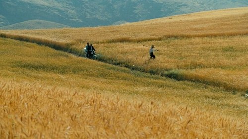 O Vento Nos Levará